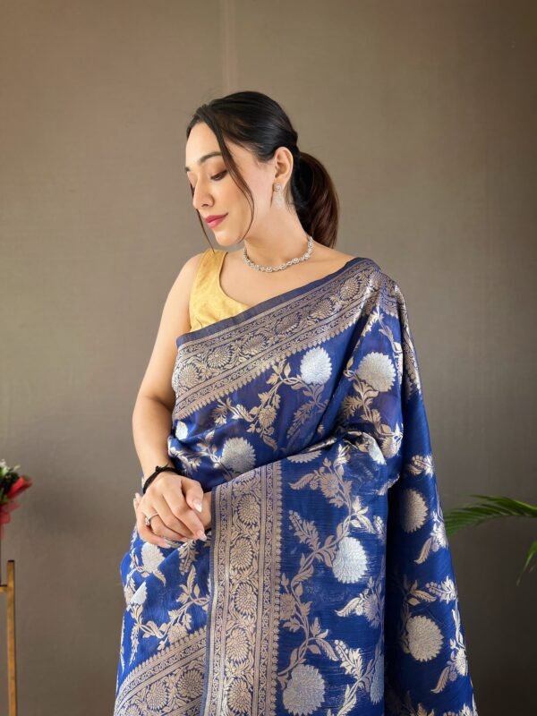 Handloom Cotton Saree – Ethnic Beauty